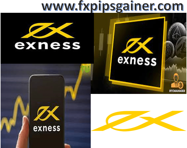 Understanding Exness Financial Statements for Informed Trading Decisions
