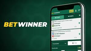 An In-Depth Guide to BetWinner Sports Betting An In-Depth Guide to BetWinner Sports Betting